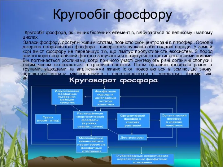 Кругообіг фосфору Кругообіг фосфора, як і інших біогенних елементів, відбувається по