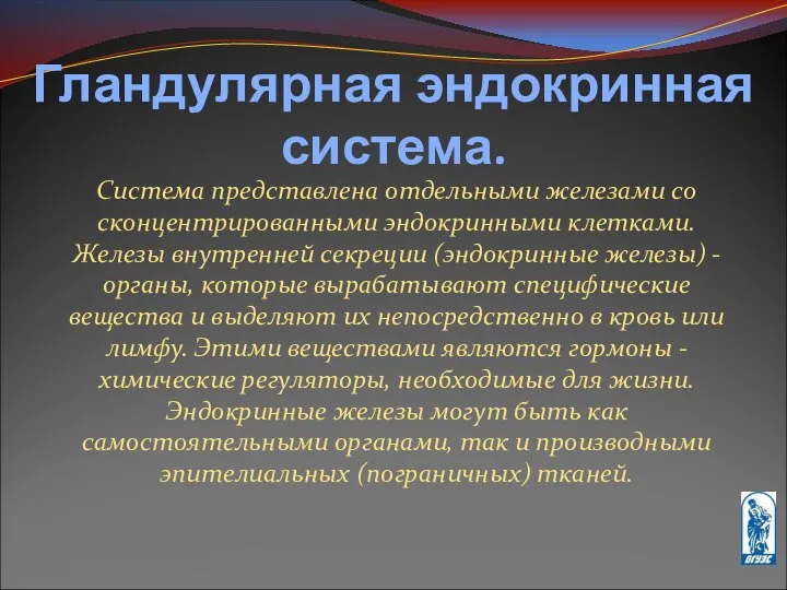 Гландулярная эндокринная система. Система представлена отдельными железами со сконцентрированными эндокринными клетками.