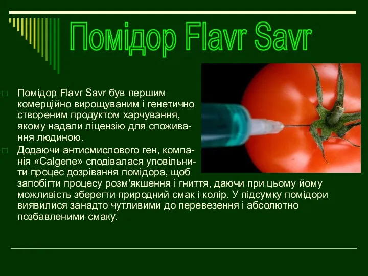 Помідор Flavr Savr був першим комерційно вирощуваним і генетично створеним продуктом