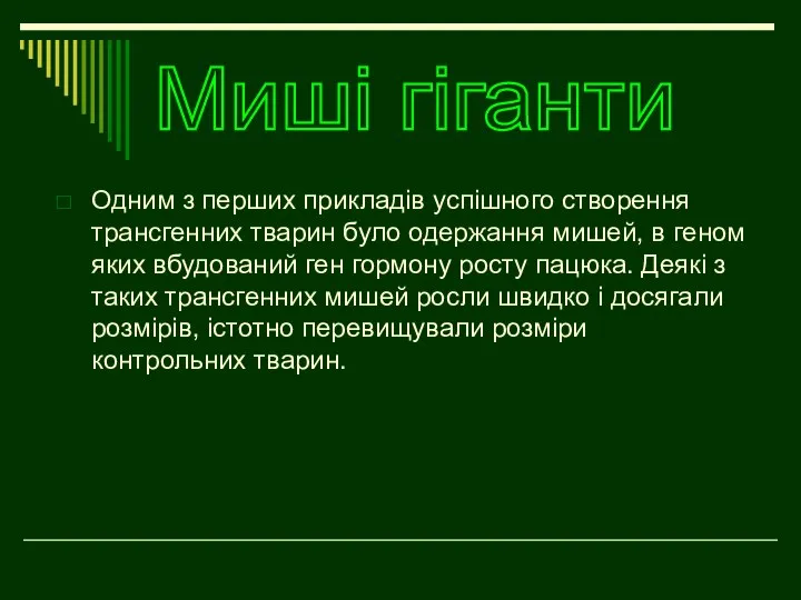 Одним з перших прикладів успішного створення трансгенних тварин було одержання мишей,