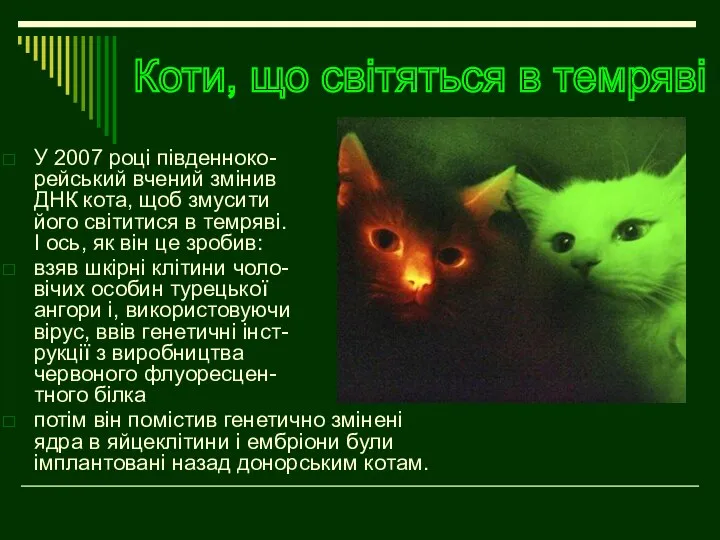 Коти, що світяться в темряві У 2007 році південноко- рейський вчений