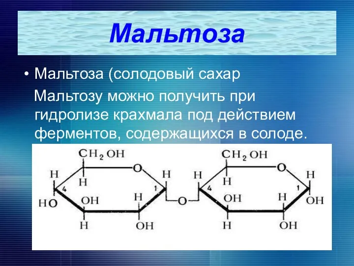 Мальтоза Мальтоза (солодовый сахар Мальтозу можно получить при гидролизе крахмала под действием ферментов, содержащихся в солоде.