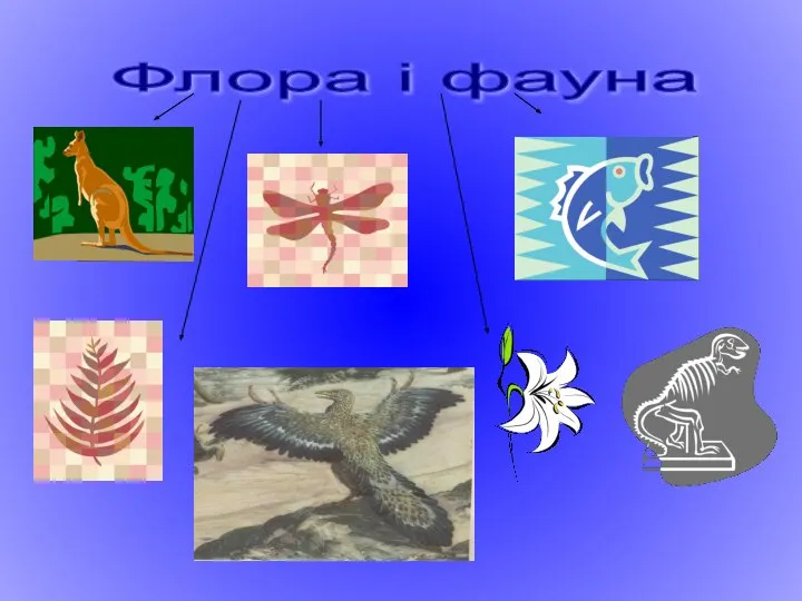 Флора і фауна