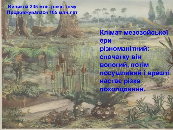 Виникла 235 млн. років тому Продовжувалася 165 млн.лет Клімат мезозойської ери