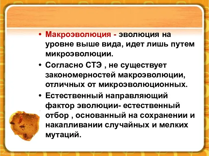 Макроэволюция - эволюция на уровне выше вида, идет лишь путем микроэволюции.