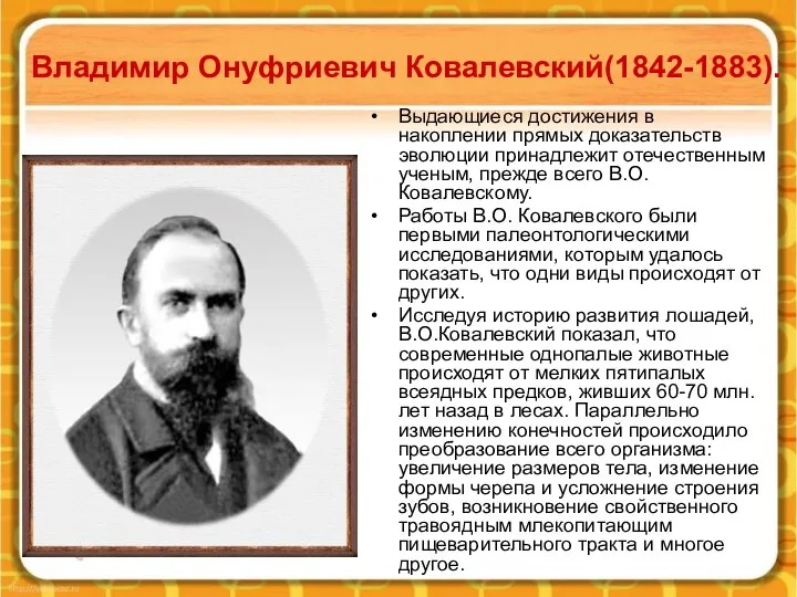 Владимир Онуфриевич Ковалевский(1842-1883). Выдающиеся достижения в накоплении прямых доказательств эволюции принадлежит