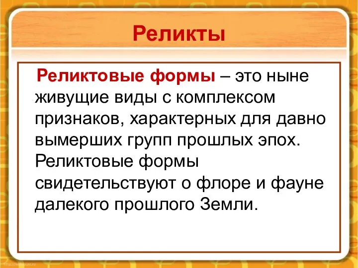 Реликты Реликтовые формы – это ныне живущие виды с комплексом признаков,