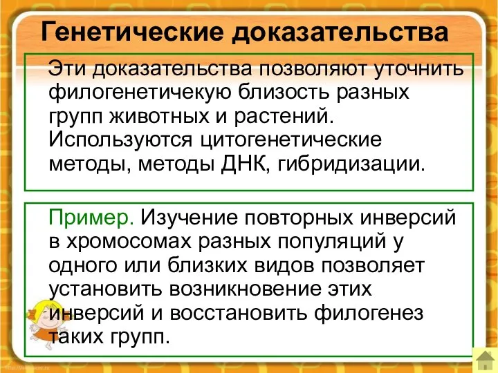 Генетические доказательства Эти доказательства позволяют уточнить филогенетичекую близость разных групп животных