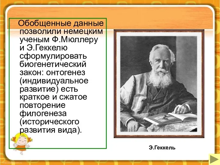 Обобщенные данные позволили немецким ученым Ф.Мюллеру и Э.Геккелю сформулировать биогенетический закон: