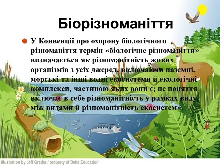 Біорізноманіття У Конвенції про охорону біологічного різноманіття термін «біологічне різноманіття» визначається