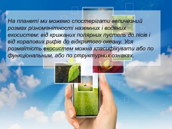 На планеті ми можемо спостерігати величезний розмах різноманітності наземних і водяних