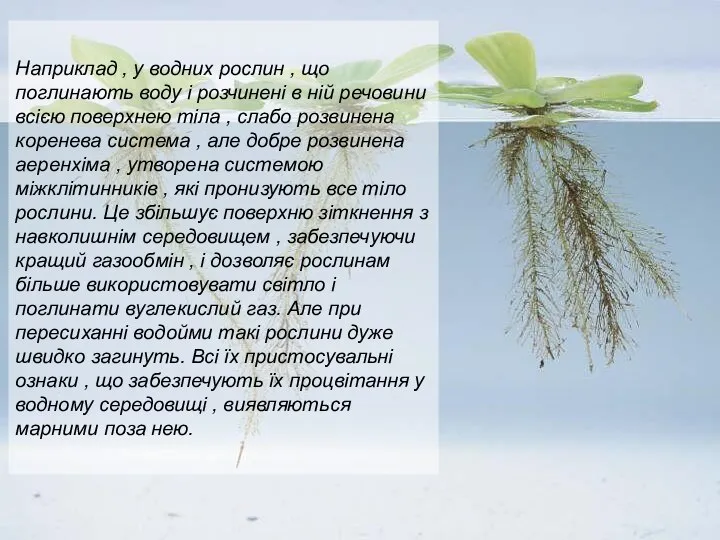 Наприклад , у водних рослин , що поглинають воду і розчинені