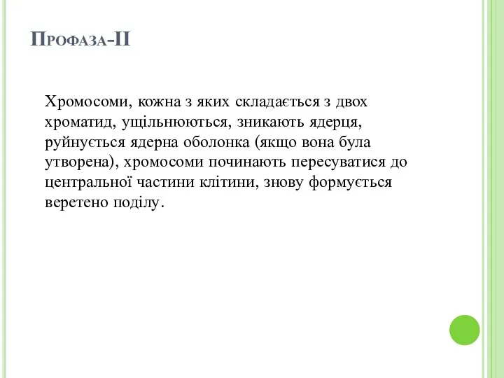 Профаза-ІІ Хромосоми, кожна з яких складається з двох хроматид, ущільнюються, зникають