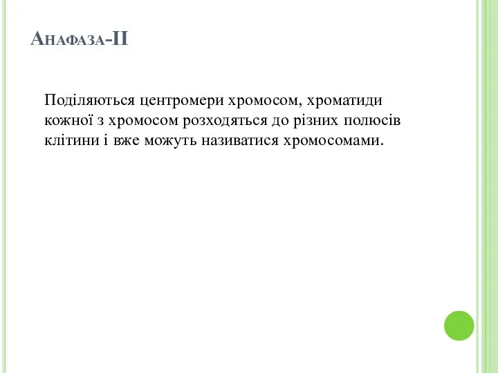 Анафаза-ІІ Поділяються центромери хромосом, хроматиди кожної з хромосом розходяться до різних