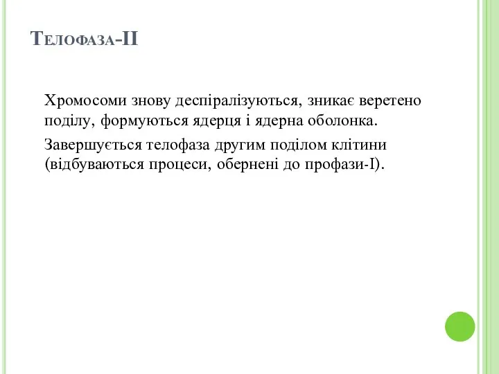 Телофаза-ІІ Хромосоми знову деспіралізуються, зникає веретено поділу, формуються ядерця і ядерна