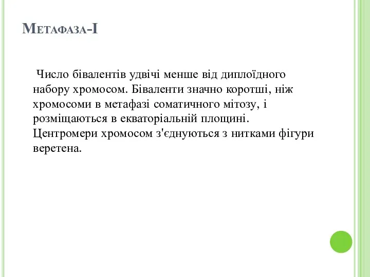 Метафаза-І Число бівалентів удвічі менше від диплоїдного набору хромосом. Біваленти значно