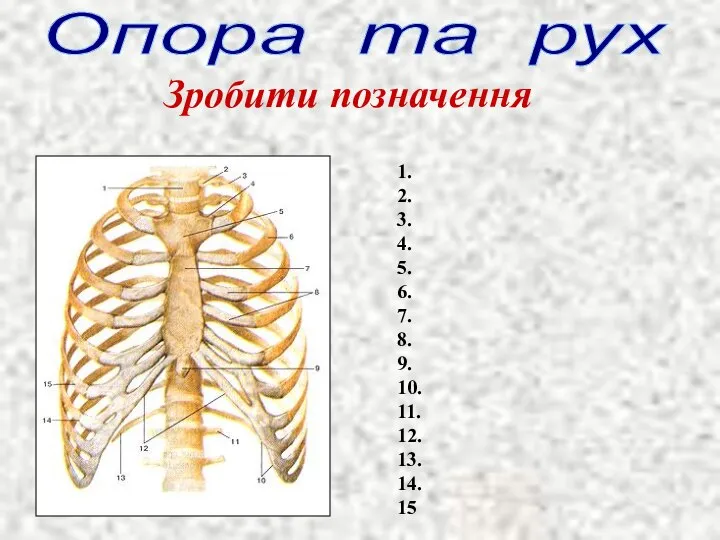 Зробити позначення Опора та рух 1. 2. 3. 4. 5. 6.