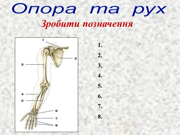 Опора та рух Зробити позначення 1. 2. 3. 4. 5. 6. 7. 8.