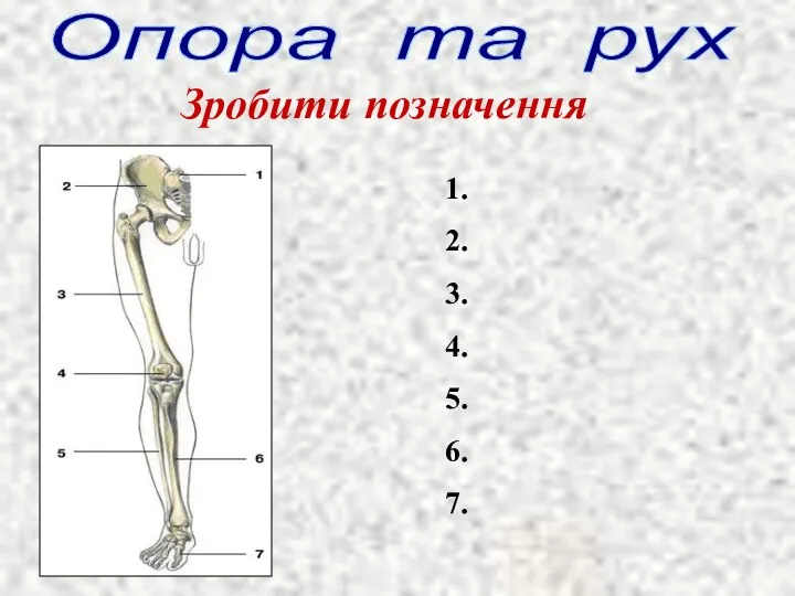 Опора та рух Зробити позначення 1. 2. 3. 4. 5. 6. 7.