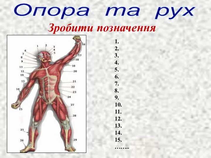 Опора та рух Зробити позначення 1. 2. 3. 4. 5. 6.