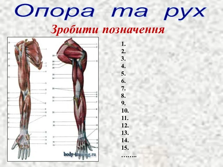 Опора та рух Зробити позначення 1. 2. 3. 4. 5. 6.