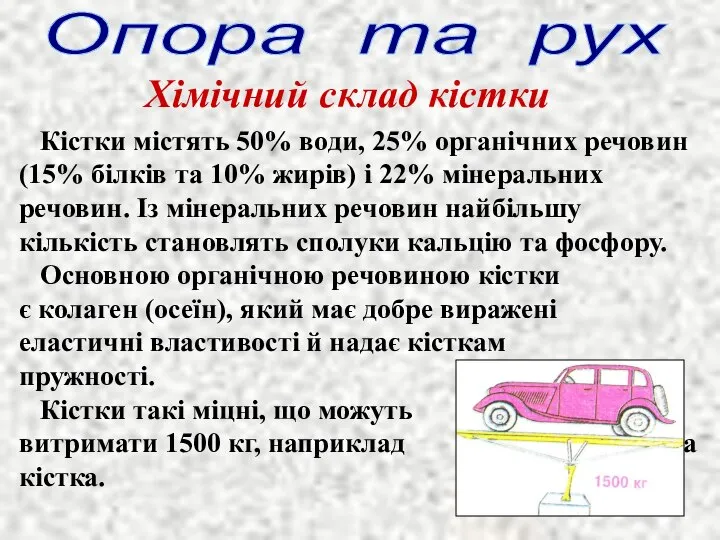 Хімічний склад кістки Кістки містять 50% води, 25% органічних речовин (15%