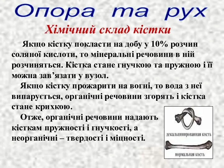 Опора та рух Хімічний склад кістки Якщо кістку покласти на добу