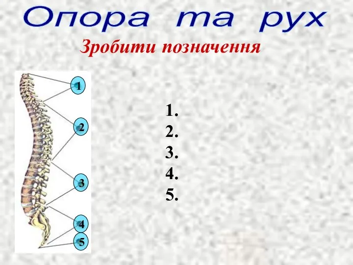 Зробити позначення Опора та рух 1. 2. 3. 4. 5. 1 2 3 4 5