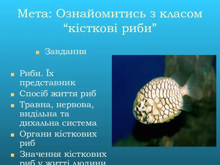 Мета: Ознайомитись з класом “кісткові риби” Завдання Риби. Їх представник Спосіб