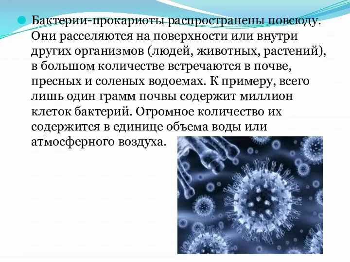 Бактерии-прокариоты распространены повсюду. Они расселяются на поверхности или внутри других организмов