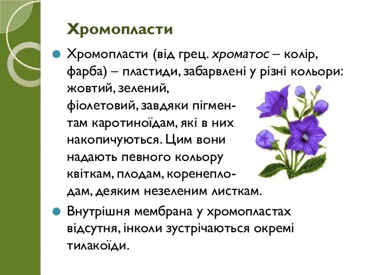 Хромопласти (від грец. хроматос – колір, фарба) – пластиди, забарвлені у