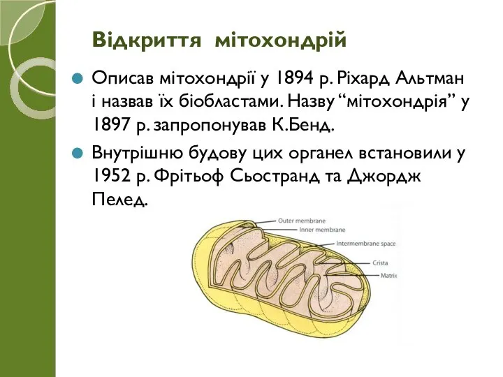 Описав мітохондрії у 1894 р. Ріхард Альтман і назвав їх біобластами.