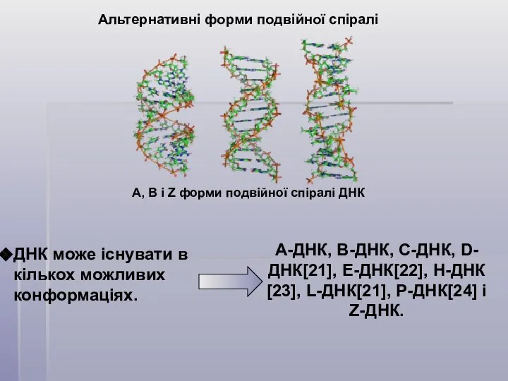 Альтернативні форми подвійної спіралі ДНК може існувати в кількох можливих конформаціях.