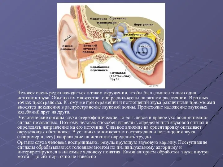 Человек очень редко находиться в таком окружении, чтобы был слышен только