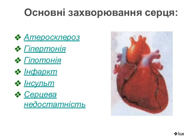 Основні захворювання серця: Атеросклероз Гіпертонія Гіпотонія Інфаркт Інсульт Серцева недостатність Ішемічна хвороба