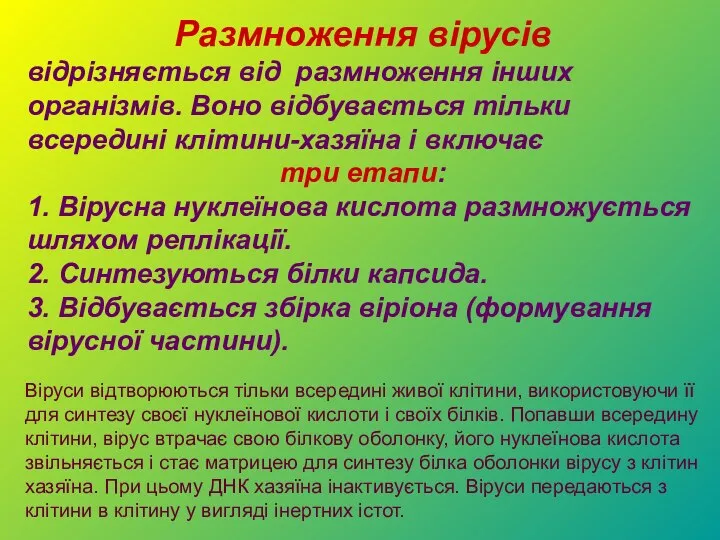 Віруси відтворюються тільки всередині живої клітини, використовуючи її для синтезу своєї