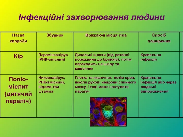 Інфекційні захворювання людини