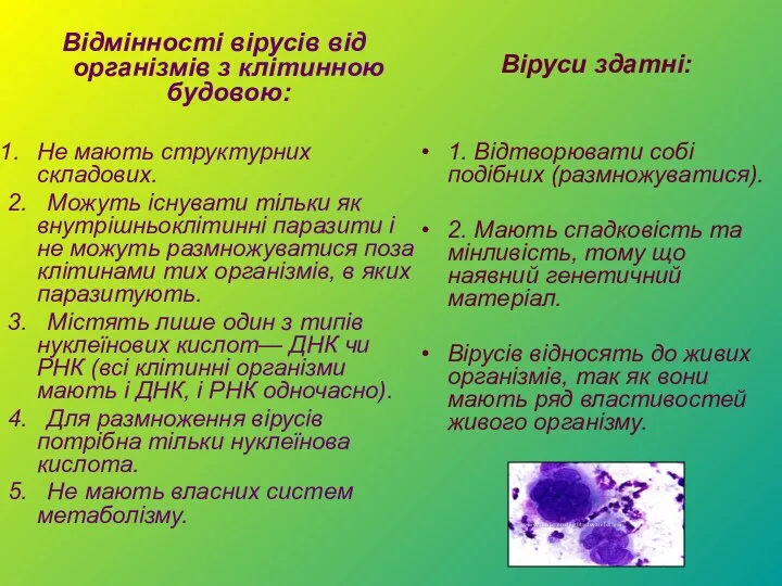 Відмінності вірусів від організмів з клітинною будовою: Не мають структурних складових.