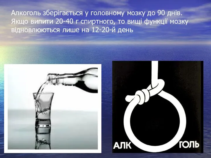 Алкоголь зберігається у головному мозку до 90 днів. Якщо випити 20-40