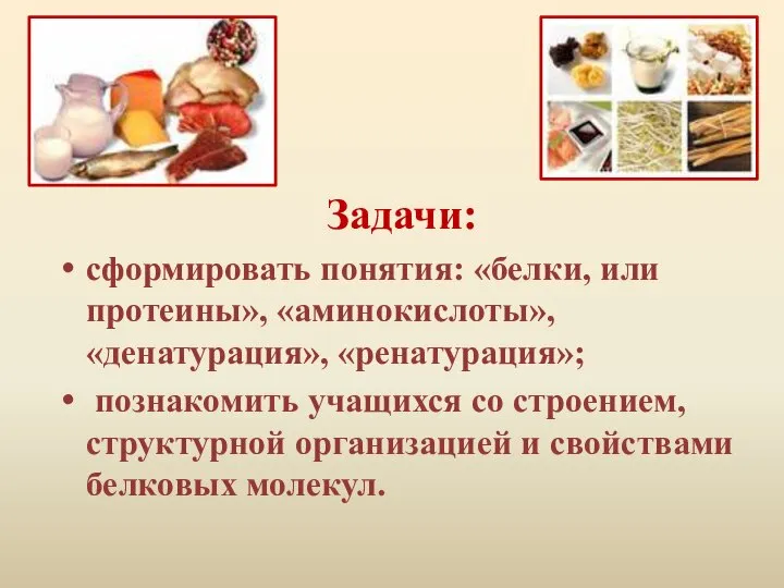 Задачи: сформировать понятия: «белки, или протеины», «аминокислоты», «денатурация», «ренатурация»; познакомить учащихся