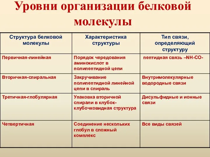 Уровни организации белковой молекулы