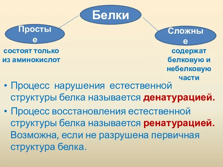 Процесс нарушения естественной структуры белка называется денатурацией. Процесс восстановления естественной структуры