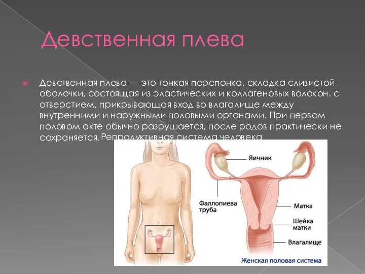 Девственная плева Девственная плева — это тонкая перепонка, складка слизистой оболочки,