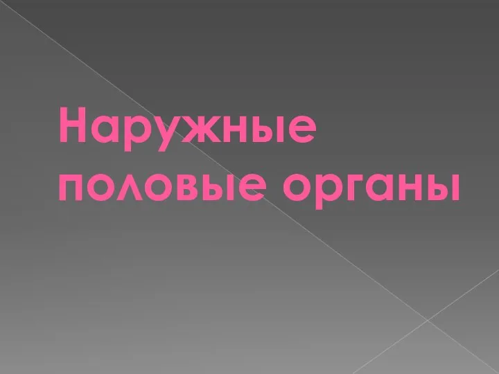 Наружные половые органы