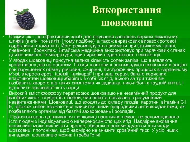 Використання шовковиці Свіжий сік – це ефективний засіб для лікування запалень