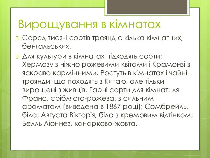 Вирощування в кімнатах Серед тисячі сортів троянд є кілька кімнатних, бенгальських.