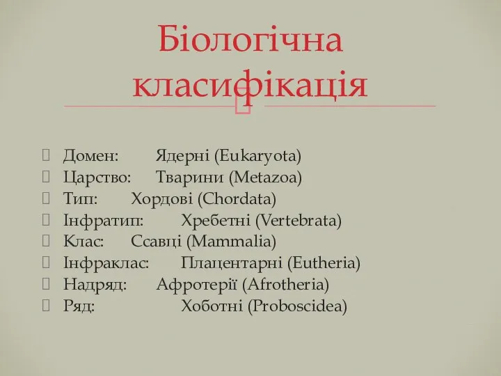 Домен: Ядерні (Eukaryota) Царство: Тварини (Metazoa) Тип: Хордові (Chordata) Інфратип: Хребетні