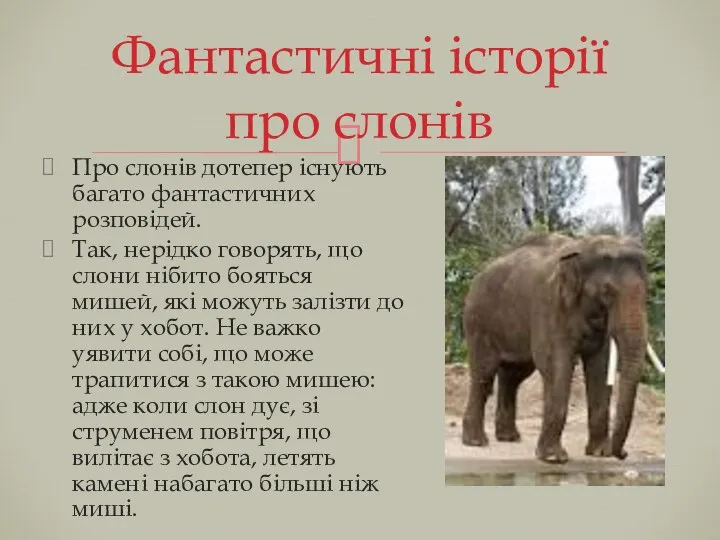 Про слонів дотепер існують багато фантастичних розповідей. Так, нерідко говорять, що