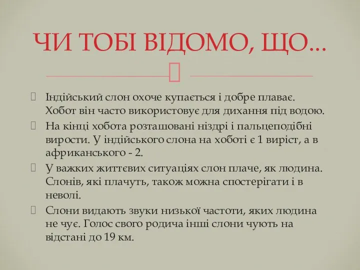 Індійський слон охоче купається і добре плаває. Хобот він часто використовує