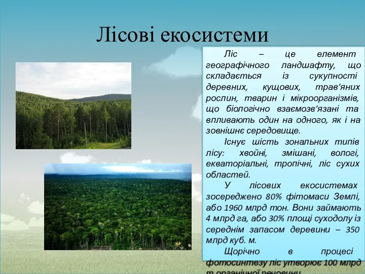 Лісові екосистеми Ліс – це елемент географічного ландшафту, що складається із